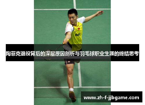 陶菲克退役背后的深层原因剖析与羽毛球职业生涯的终结思考